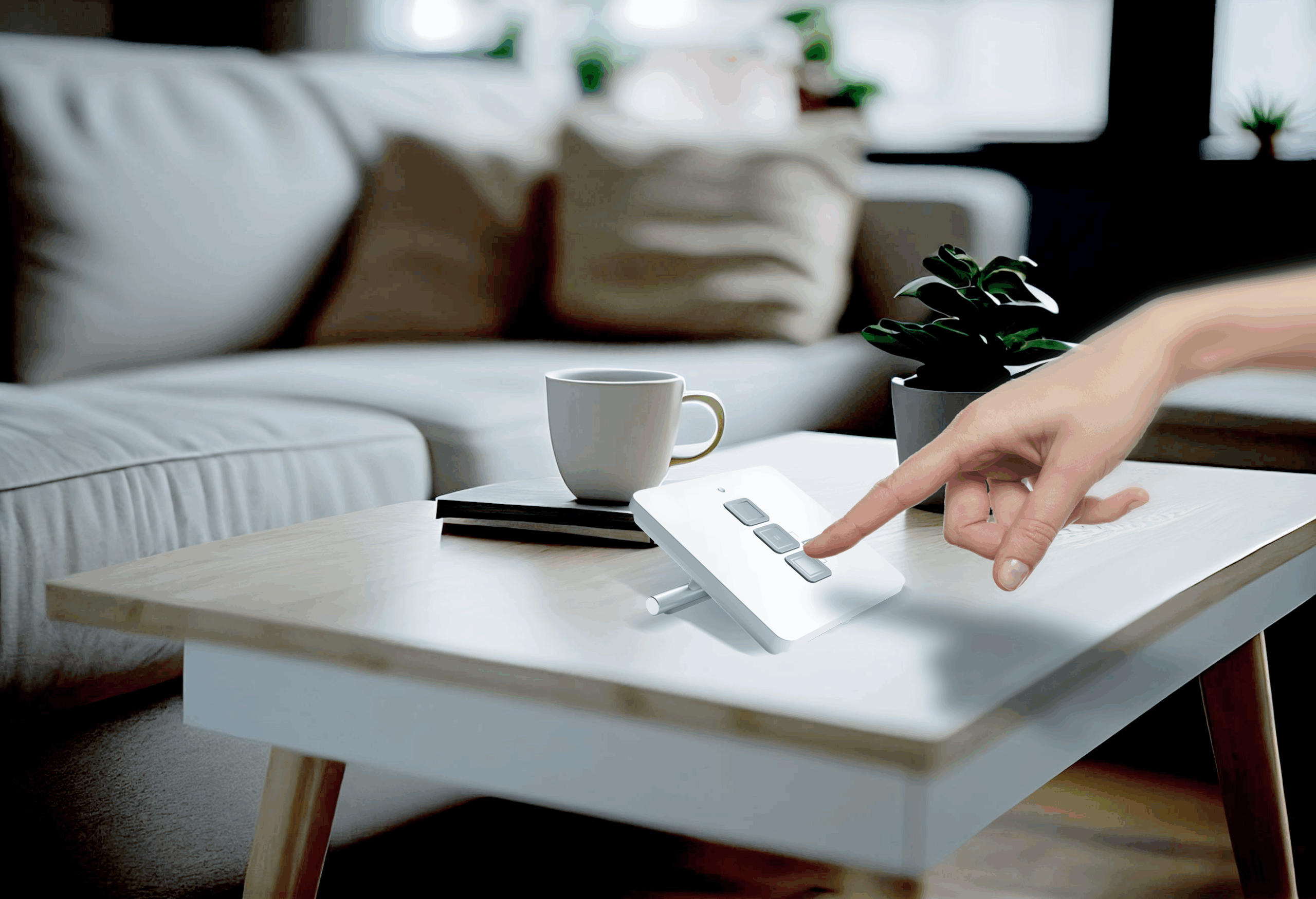 SAT - Visual 5 - 2024